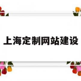 上海定制网站建设(上海网站定制开发)