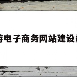 旅游电子商务网站建设费用(旅游电子商务网站建设的目的)