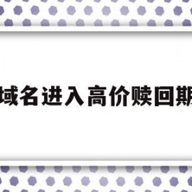 域名进入高价赎回期(域名高价赎回期什么意思)