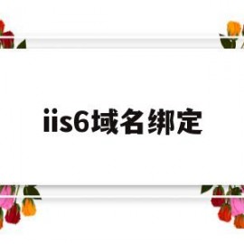 iis6域名绑定(ip域名绑定)