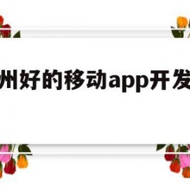 杭州好的移动app开发案例(移动app软件开发)