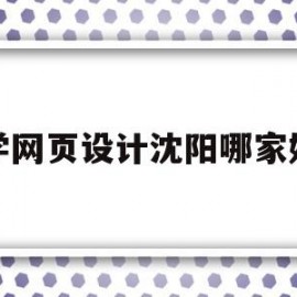 学网页设计沈阳哪家好(沈阳网页设计公司名称)
