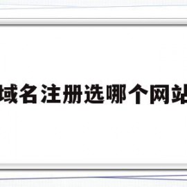 域名注册选哪个网站(域名注册选哪个网站比较好)