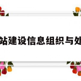 网站建设信息组织与处理(网站建设信息组织与处理方案)