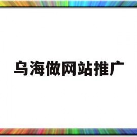 乌海做网站推广(乌海网站优化公司)