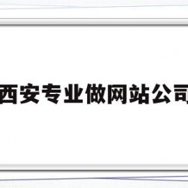 西安专业做网站公司(西安专业做网站公司有哪些)