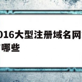 2016大型注册域名网站有哪些(2016大型注册域名网站有哪些呢)