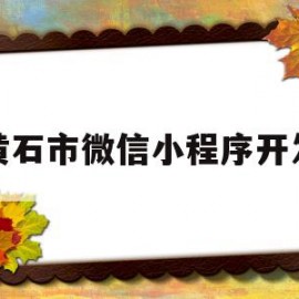 黄石市微信小程序开发(黄石市微信小程序开发平台)