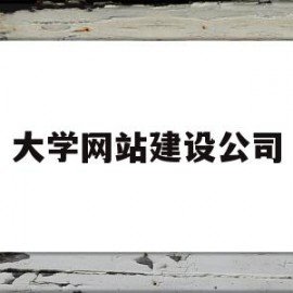 大学网站建设公司(网站建设专业的公司)