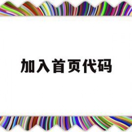 加入首页代码(首页代码怎么写)