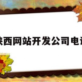 陕西网站开发公司电话(12306网站开发公司)