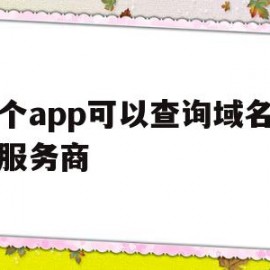那个app可以查询域名注册服务商的简单介绍