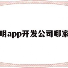 昆明app开发公司哪家强(昆明app软件专业开发公司)