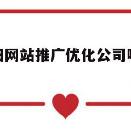 沈阳网站推广优化公司哪家好(沈阳网站推广优化公司哪家好些)