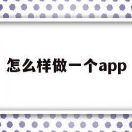 怎么样做一个app(怎么样做一个app收纳自己的工作台账)