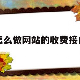 怎么做网站的收费接口(怎么做网站的收费接口呢)