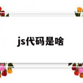js代码是啥(js的代码)