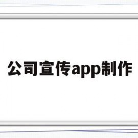 公司宣传app制作(企业宣传制作软件app)