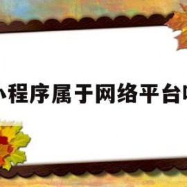 小程序属于网络平台吗(小程序算什么)