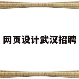 网页设计武汉招聘(网页设计武汉招聘信息网)