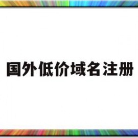 国外低价域名注册(国外域名注册服务网站)
