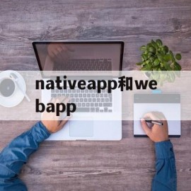 nativeapp和webapp(nativeapp开发)
