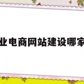 专业电商网站建设哪家好(电商网站建设 网站定制开发)