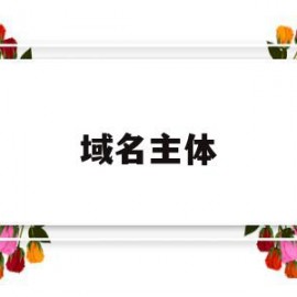 域名主体(域名主体和服务器主体不一致)