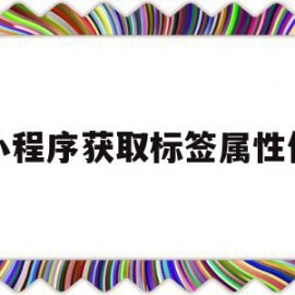 小程序获取标签属性值(小程序中改变标签属性的属性值)
