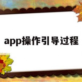 app操作引导过程(app操作引导过程是什么)