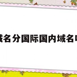 域名分国际国内域名吗(域名分国际国内域名吗怎么填)