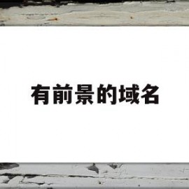 有前景的域名(域名值得投资吗)