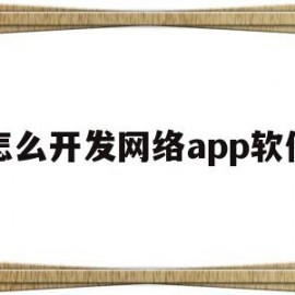 怎么开发网络app软件(怎样开发软件app)