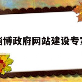 淄博政府网站建设专家(淄博市政府采购网上商城)
