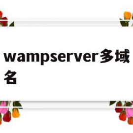 wampserver多域名(wampserver配置域名)