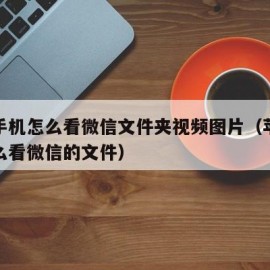 苹果手机怎么看微信文件夹视频图片（苹果手机怎么看微信的文件）