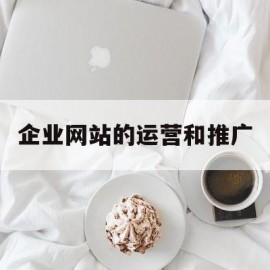 企业网站的运营和推广(企业网站的运营和推广方案)