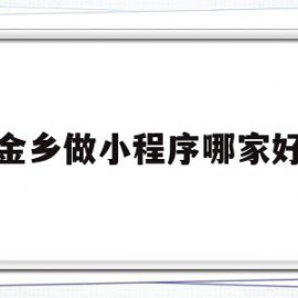金乡做小程序哪家好(金乡做小程序哪家好一点)