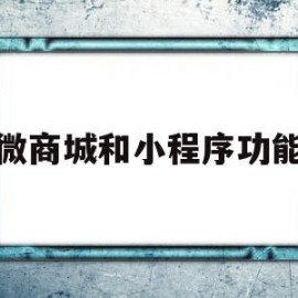 微商城和小程序功能(微商城和小程序商城哪个好)