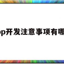 app开发注意事项有哪些(app开发需要准备哪些材料)