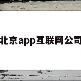 北京app互联网公司(北京有名的互联网公司)