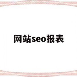 网站seo报表(网站semseo)