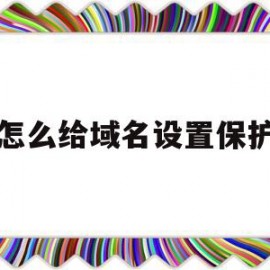 怎么给域名设置保护(域名保护的原则是什么)
