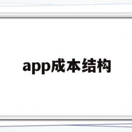 app成本结构(app成本结构有哪些)