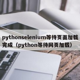 pythonselenium等待页面加载完成（python等待网页加载）