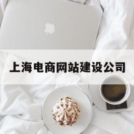 上海电商网站建设公司(电商 上海)