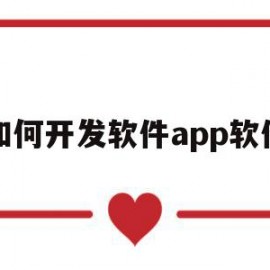 如何开发软件app软件(如何开发软件app软件安装)