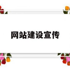 网站建设宣传(网站建设宣传片)