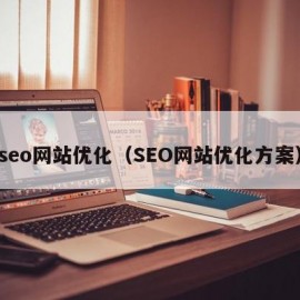 seo网站优化（SEO网站优化方案）