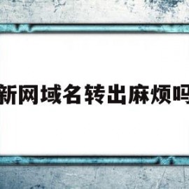 新网域名转出麻烦吗(新网域名可以用到其他平台服务器吗)